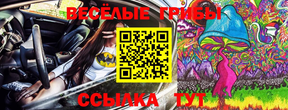 Галлюциногенные грибы Psilocybe  Вход с VPN  Мценск 